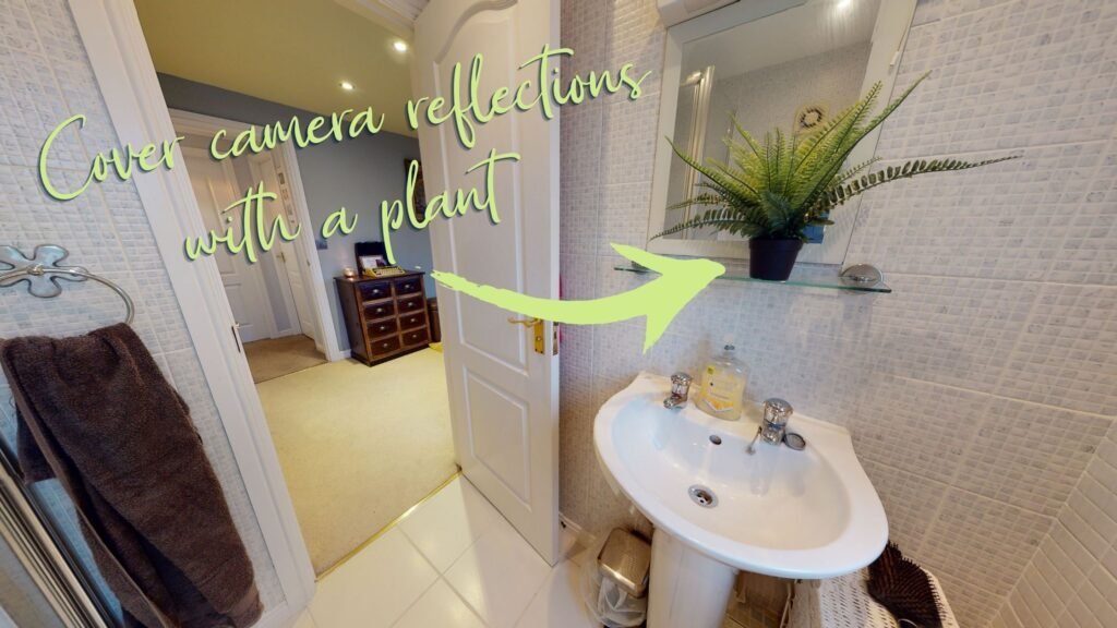 EMMAZE BLOG | How to Create Stunning Virtual Tours Using Matterport -EMMAZE VIRTUAL TOURS - Cover Camera Reflections with a Plant